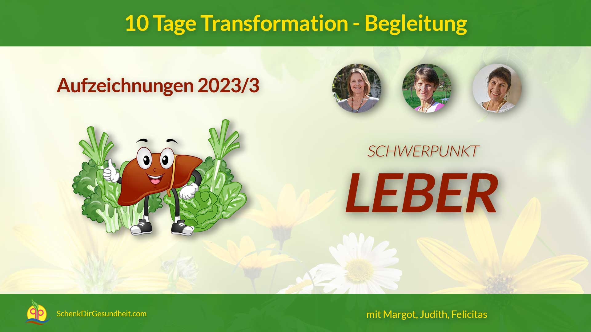schenkdirgesundheit.com - produkt k07 - aufzeichnungen 10 tage transformation begleitung - Banner BB2