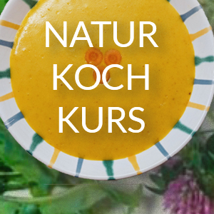 3 Monate Begleitung Natur-Kochkurs - 9 Punkte Gesundheit - SchenkDirGesundheit.com - Judith Schenk - G1