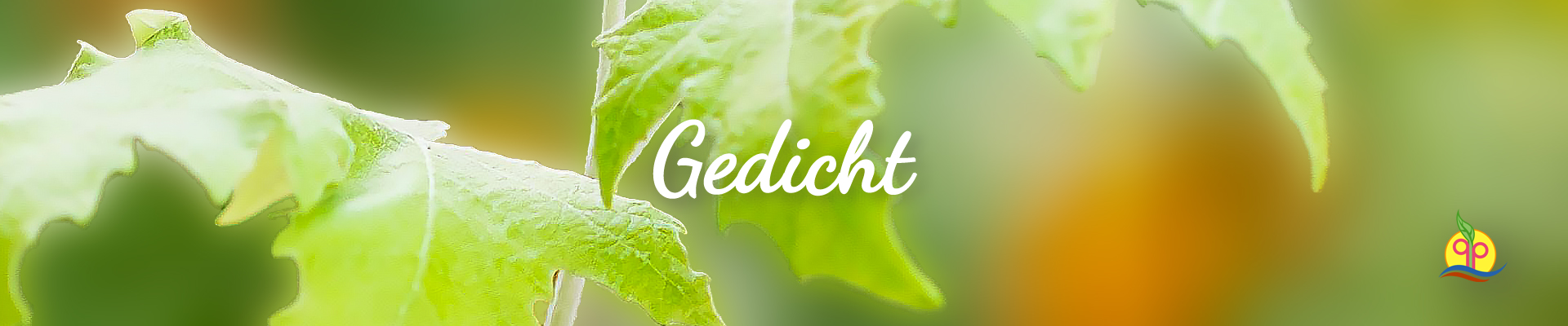 schenkdirgesundheit.com - ebuch P01 - schenkdirgesundheit- geidcht_v8A-3-D5