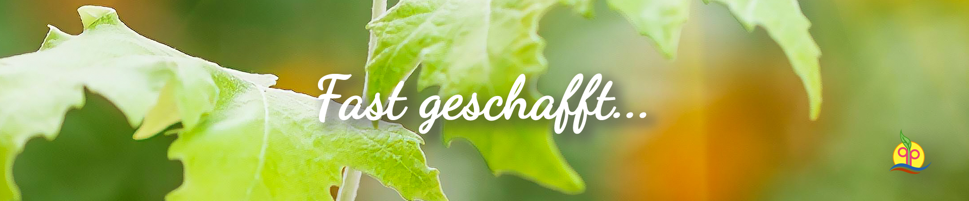 schenkdirgesundheit.com - header banner - 01-B3- fast geschafft